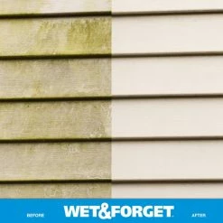 Wet and Forget Outdoor Cleaners 1-Gallon Multi-Surface Concentrated Outdoor Cleaner 20 Wet and Forget Outdoor Cleaners 1-Gallon Multi-Surface Concentrated Outdoor Cleaner -Swiffer Online Trade 08539540