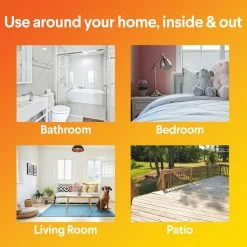 Clorox All-Purpose Cleaners 128-fl oz Urine Remover Liquid All-Purpose Cleaner -Swiffer Online Trade 10427250