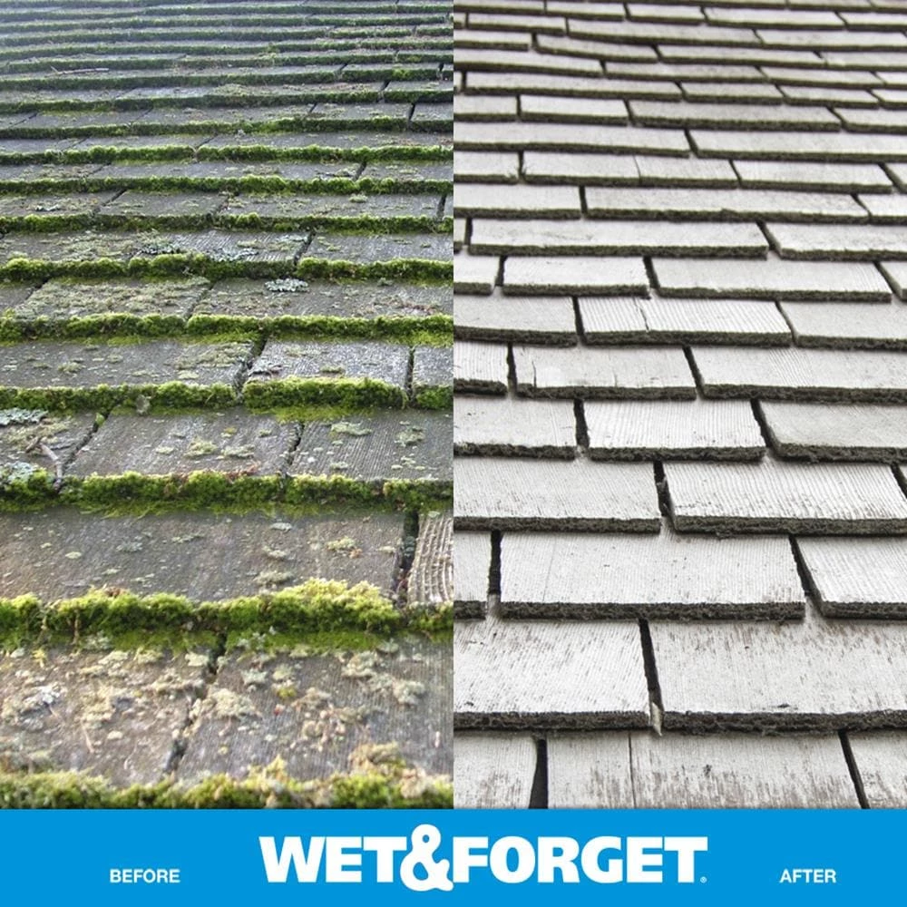 Wet and Forget Outdoor Cleaners 1-Gallon Multi-Surface Concentrated Outdoor Cleaner 11 Wet and Forget Outdoor Cleaners 1-Gallon Multi-Surface Concentrated Outdoor Cleaner - Image 10