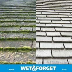 Wet and Forget Outdoor Cleaners 48-fl oz Mold and Mildew Stain Remover Concentrated Outdoor Cleaner 25 Wet and Forget Outdoor Cleaners 48-fl oz Mold and Mildew Stain Remover Concentrated Outdoor Cleaner -Swiffer Online Trade 11393736