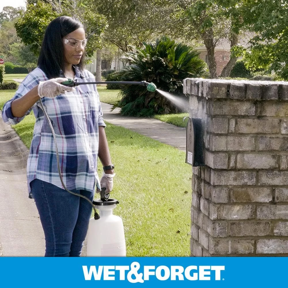 Wet and Forget Outdoor Cleaners 1-Gallon Multi-Surface Concentrated Outdoor Cleaner 12 Wet and Forget Outdoor Cleaners 1-Gallon Multi-Surface Concentrated Outdoor Cleaner - Image 11