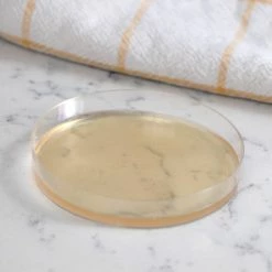 Mold Armor Mold Test Kits Mold Test Kit -Swiffer Online Trade 15884063