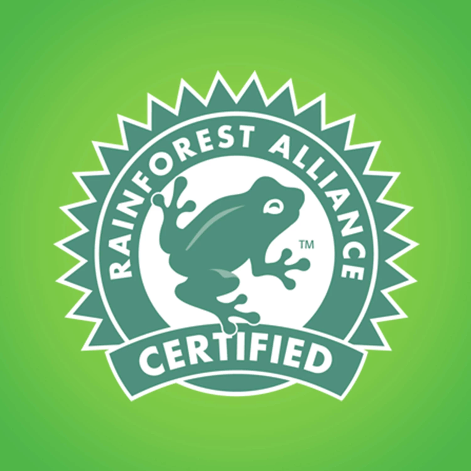 Bounty Select-a-Size Double-Roll 6-Count Paper Towels 11 Bounty Select-a-Size Double-Roll 6-Count Paper Towels - Image 9