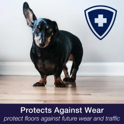 Bona 32-fl oz Floor Polish -Swiffer Online Trade 44400540