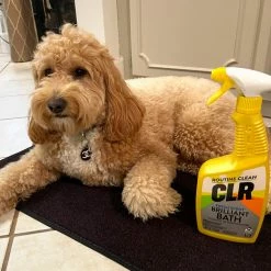 CLR Multipurpose Bathroom Cleaners 26-oz Foam Multipurpose Bathroom Cleaner 24 CLR Multipurpose Bathroom Cleaners 26-oz Foam Multipurpose Bathroom Cleaner -Swiffer Online Trade 45467317