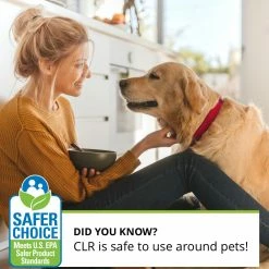 CLR Rust Removers 28-oz Rust Remover -Swiffer Online Trade 45477685