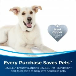 BISSELL Stain Pretreat 22 oz. Carpet Cleaning Solution 9 BISSELL Stain Pretreat 22 oz. Carpet Cleaning Solution -Swiffer Online Trade 45547523