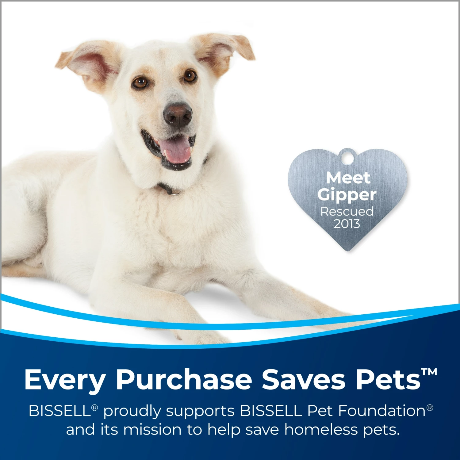 BISSELL Stain Pretreat 22 oz. Carpet Cleaning Solution 5 BISSELL Stain Pretreat 22 oz. Carpet Cleaning Solution - Image 3