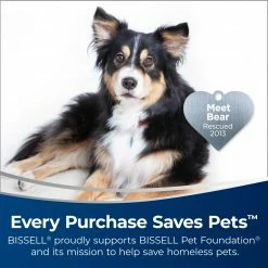 BISSELL Carpet Cleaning Solution Professional Power Shot Oxy Spot Remover Spray 11 BISSELL Carpet Cleaning Solution Professional Power Shot Oxy Spot Remover Spray -Swiffer Online Trade 45675574