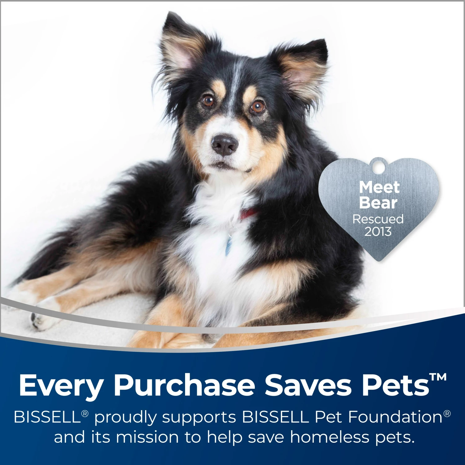 BISSELL Carpet Cleaning Solution Professional Power Shot Oxy Spot Remover Spray 5 BISSELL Carpet Cleaning Solution Professional Power Shot Oxy Spot Remover Spray - Image 3